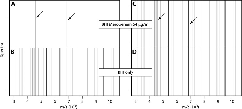 FIG 5