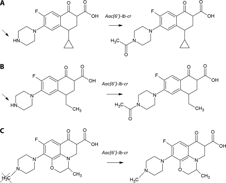 FIG 2