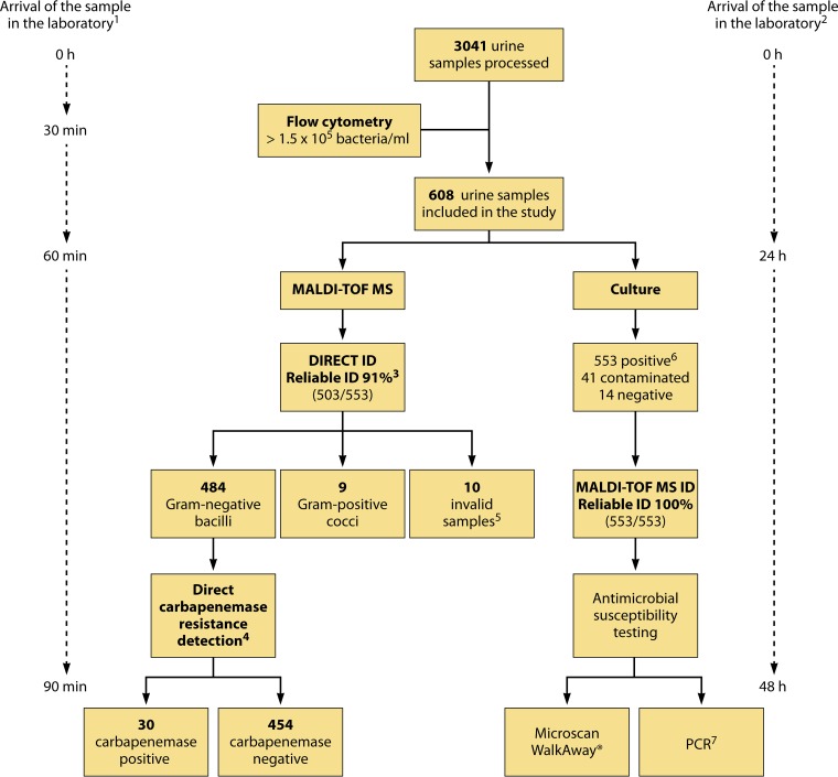 FIG 1