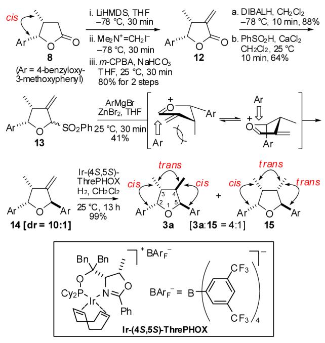 Scheme 3