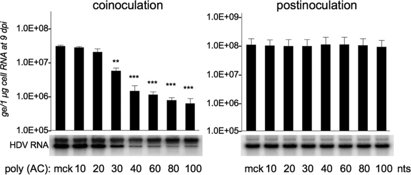 FIG 6