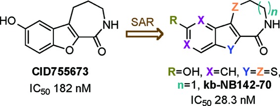 graphic file with name ml-2010-00230n_0006.jpg