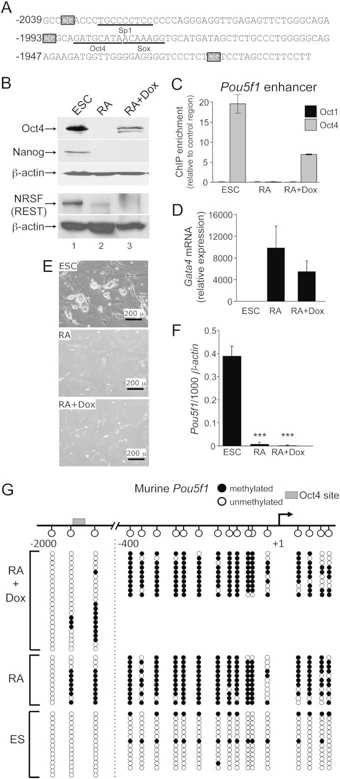 FIG 1