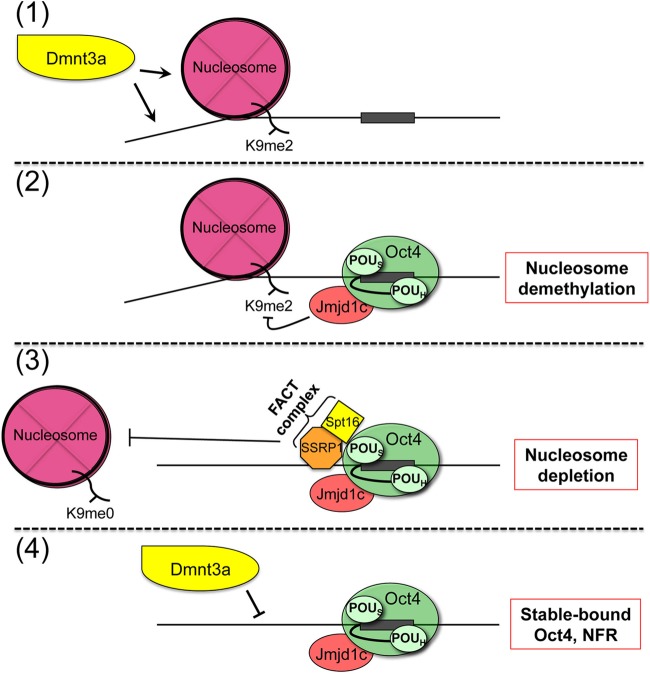 FIG 6