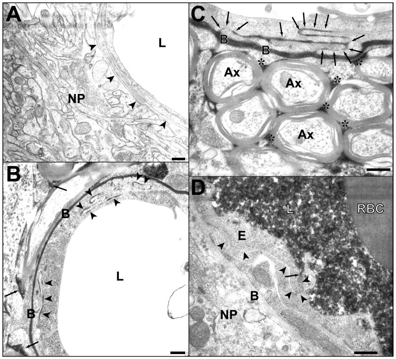 Fig. 9