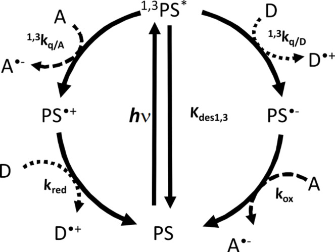 Scheme 5