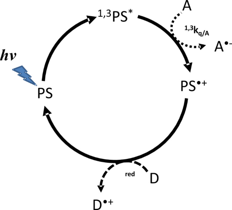 Scheme 3