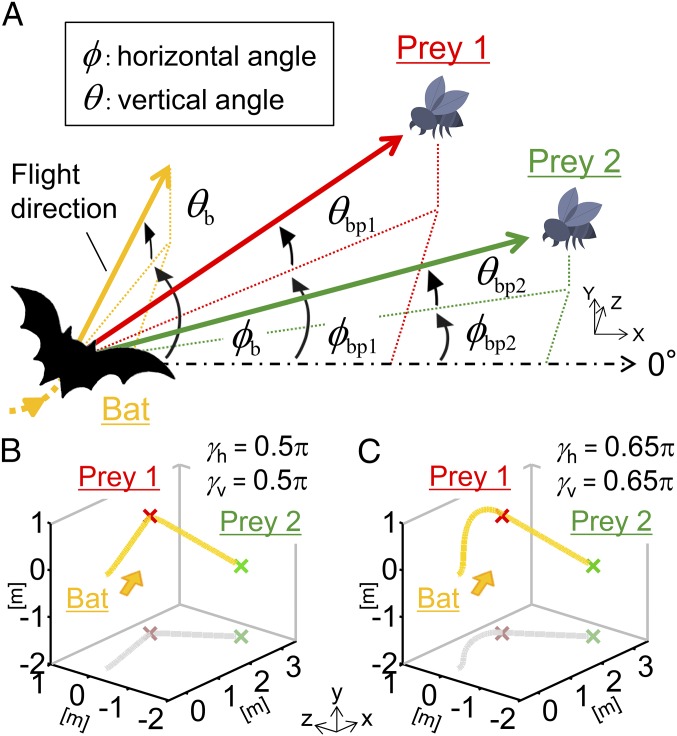 Fig. 1.