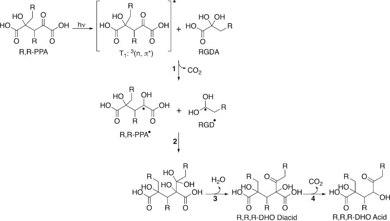 Scheme 4