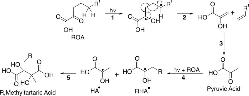 Scheme 5