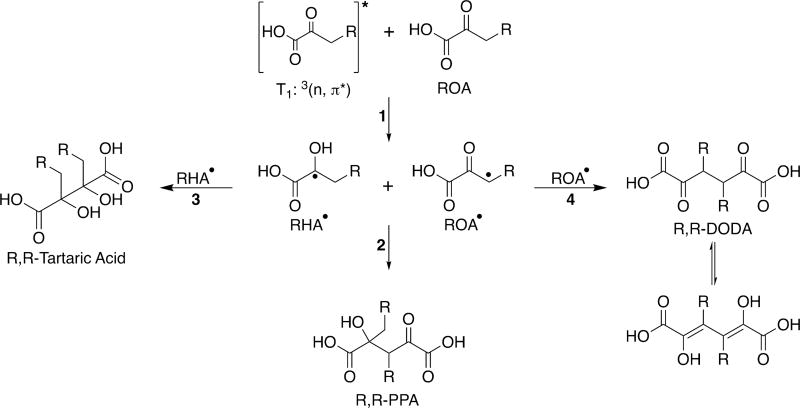 Scheme 3