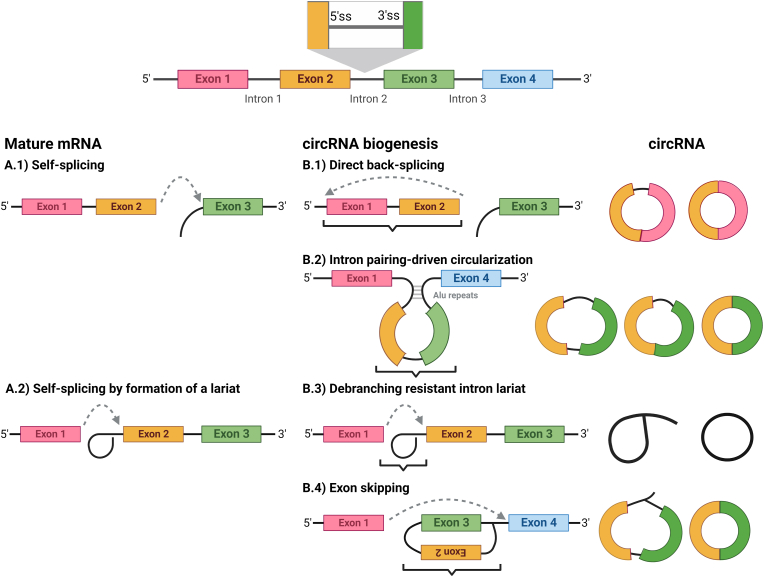 Fig. 2