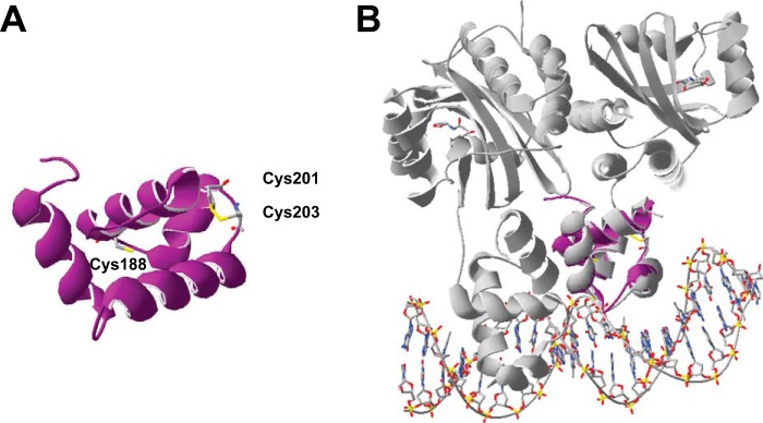 FIGURE 7.