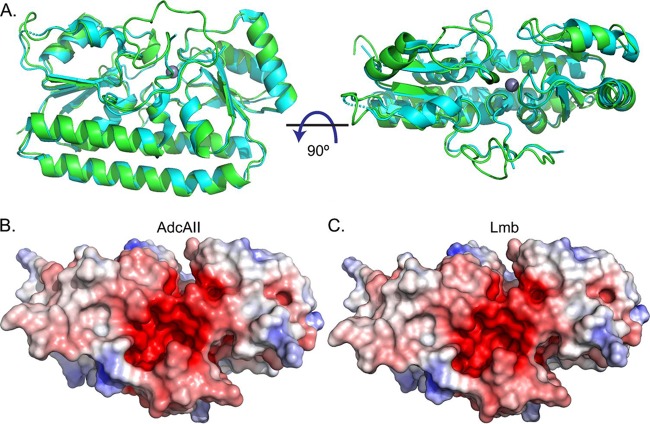 FIG 4