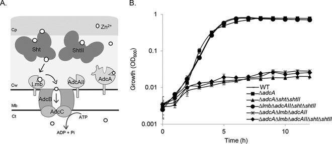 FIG 1