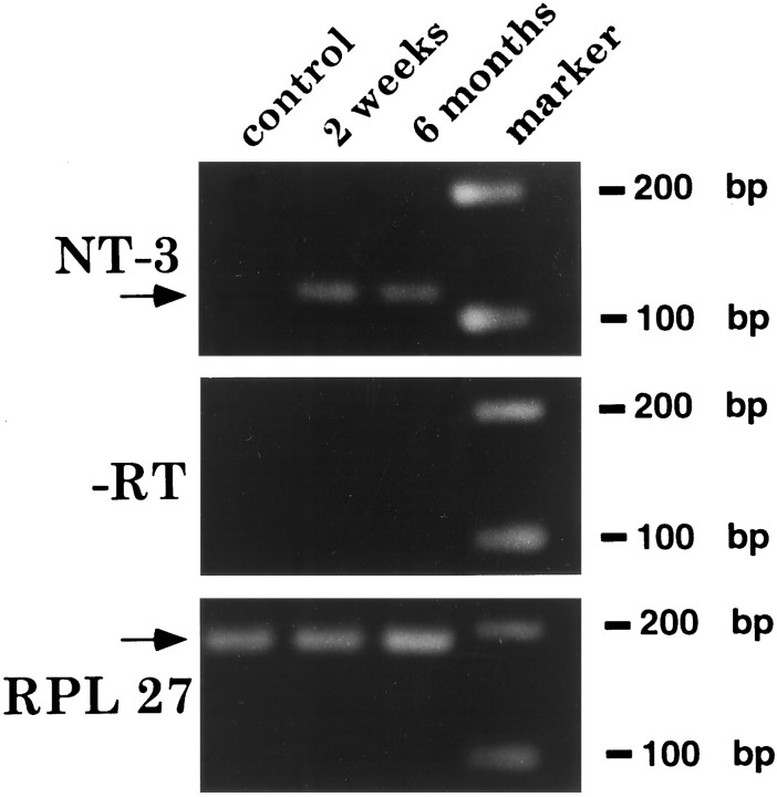 Fig. 10.