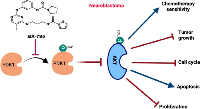 Image, graphical abstract