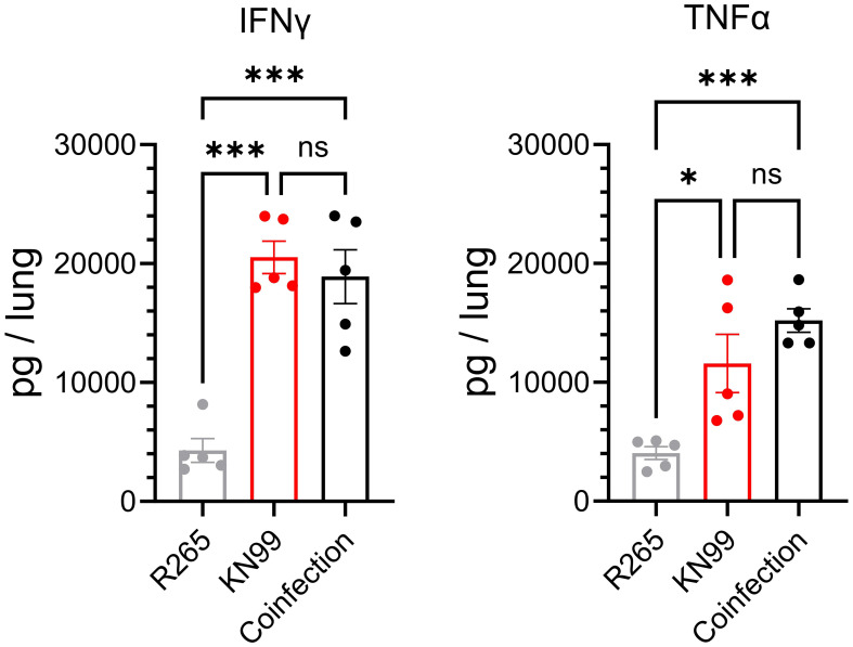 Figure 6