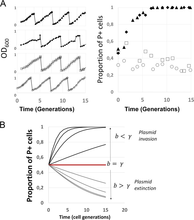 FIG 4 