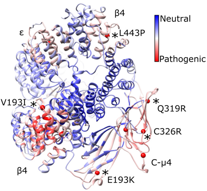 FIGURE 4