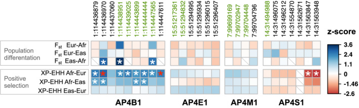 FIGURE 6