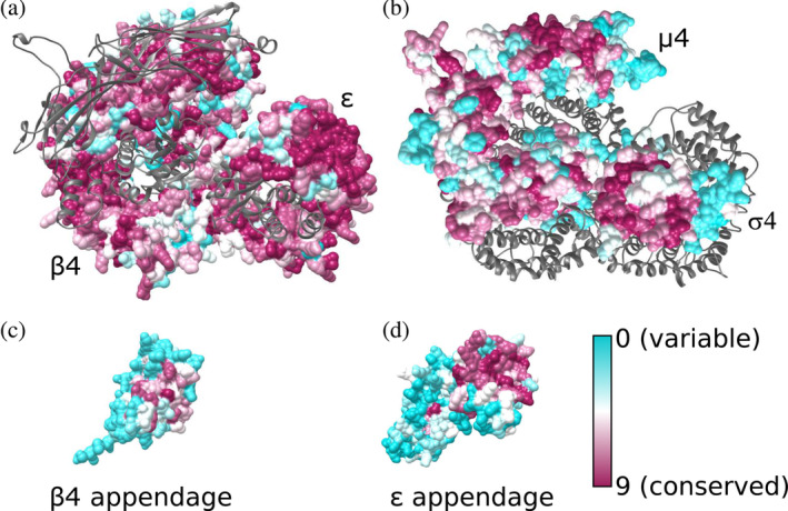 FIGURE 2