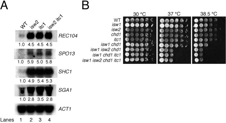 FIG. 6