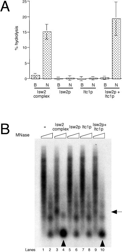 FIG. 5