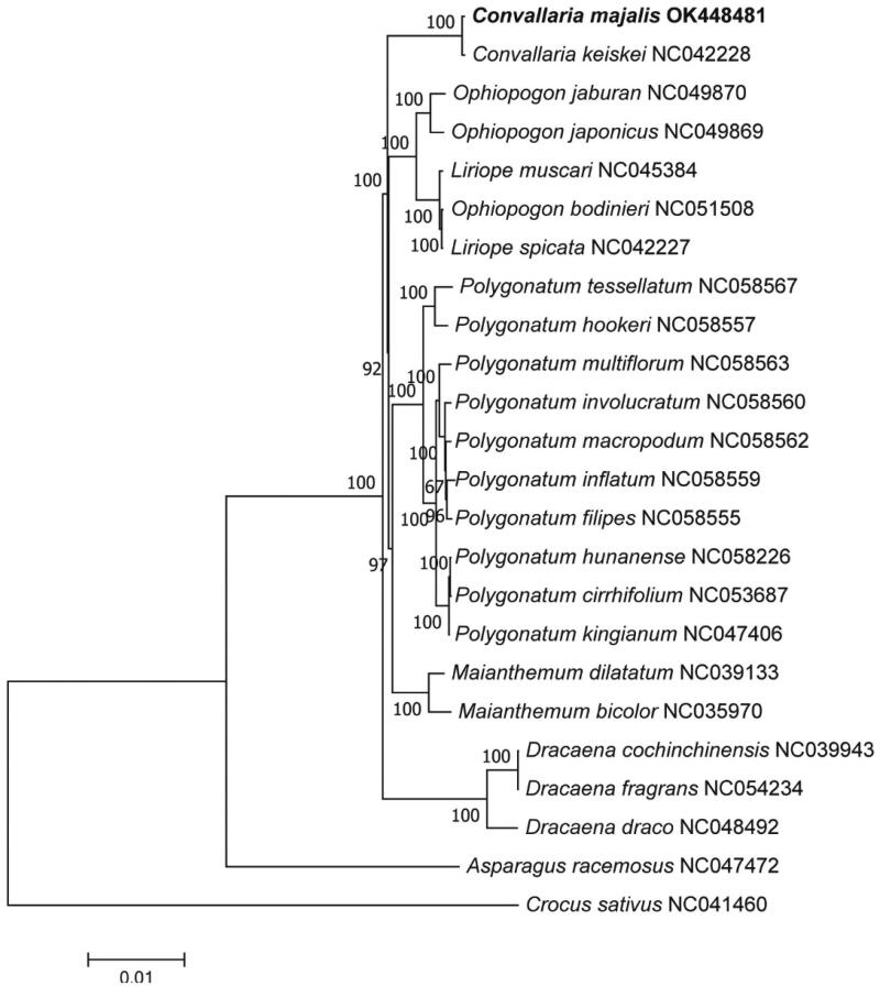 Figure 1.