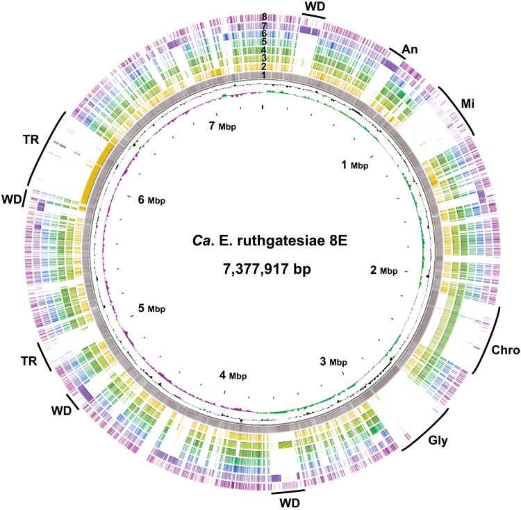 Fig. 2.