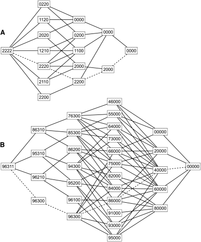 Figure 4.—