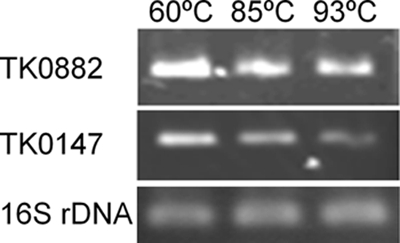 FIG. 8.