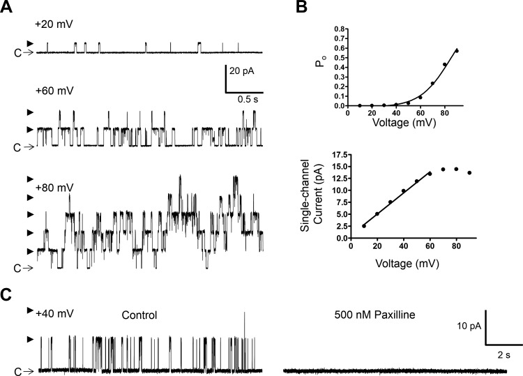 Fig. 2.