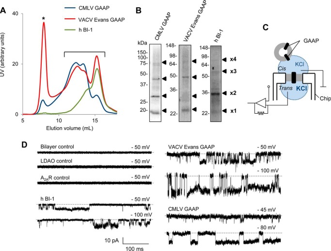 FIGURE 2.