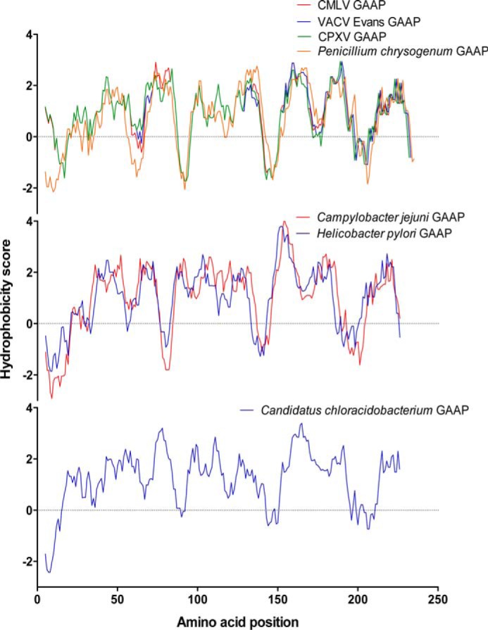 FIGURE 3.