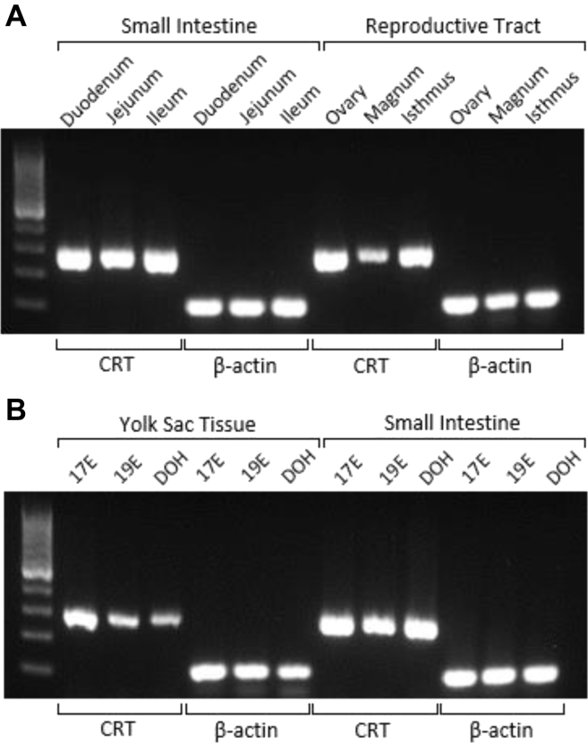 Figure 1