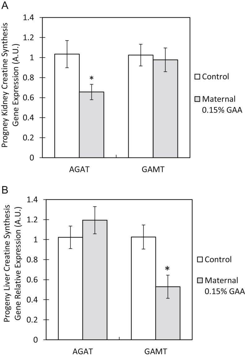 Figure 5