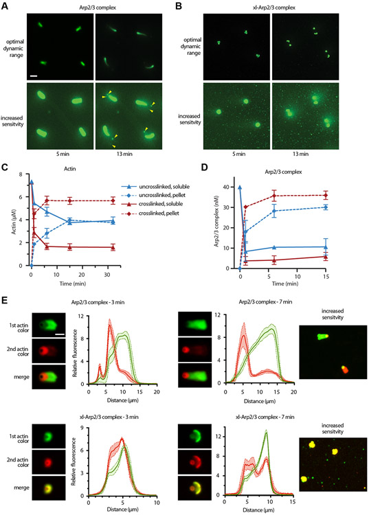 Figure 6: