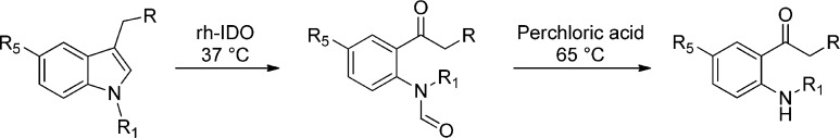 Scheme 3