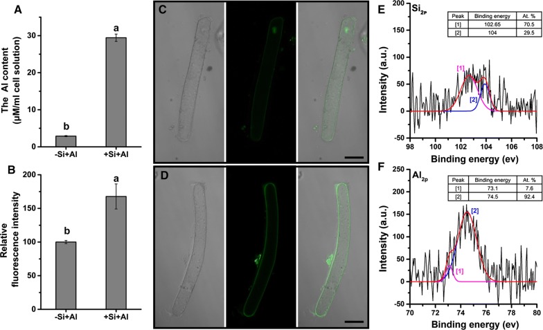 Fig. 2