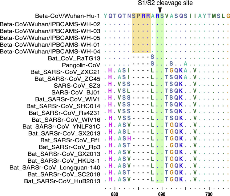 Figure 4