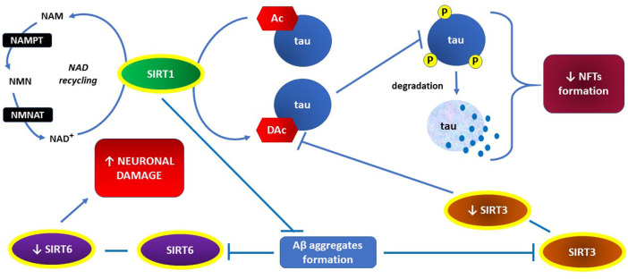 FIGURE 3