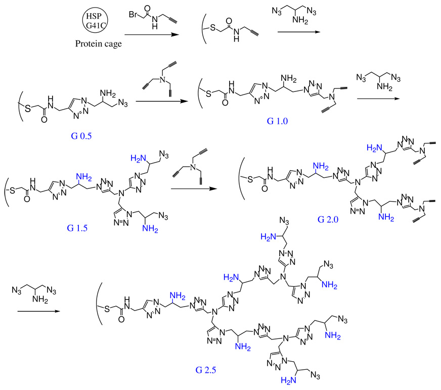 Scheme 1