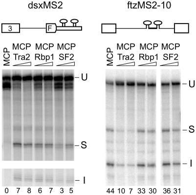 Figure 6.