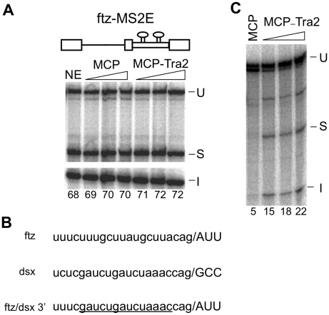 Figure 5.