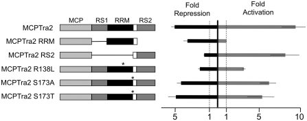 Figure 7.