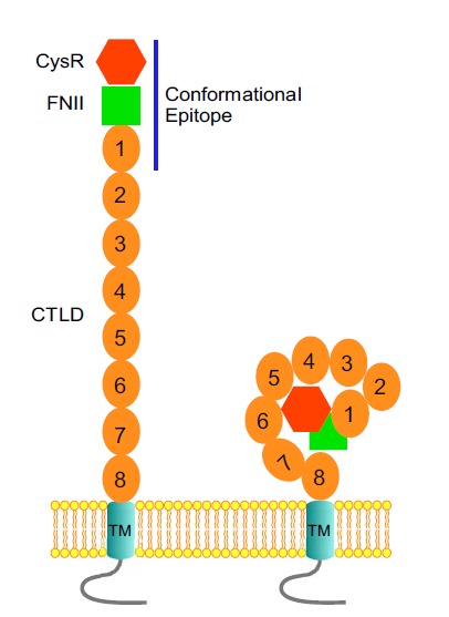 Fig. (1)