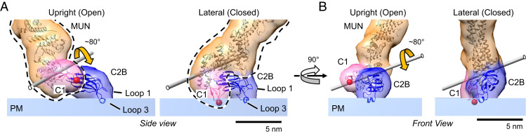 Fig. 4.