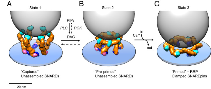 Fig. 6.