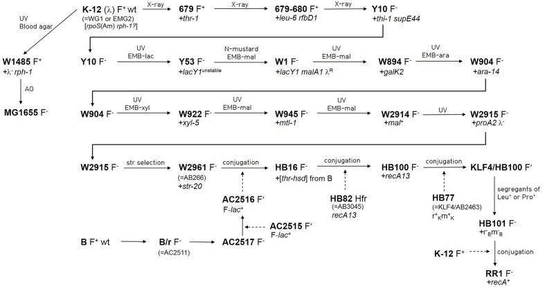 FIGURE 1